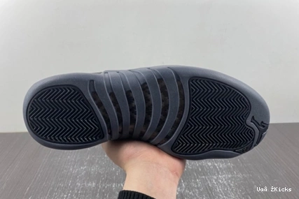 736 12 Lightweight “Black CT8013-019 Grey” Air Jordan Wolf 0912
